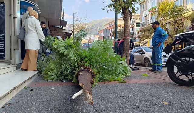Bursa'da otomobilin yolun karşısına geçmeye çalışan kişiye çarptığı kaza güvenlik kamerasında