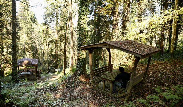 Doğal güzellikleriyle ünlü Giresun'un Dereli ilçesinde güz renkleri hakim oldu