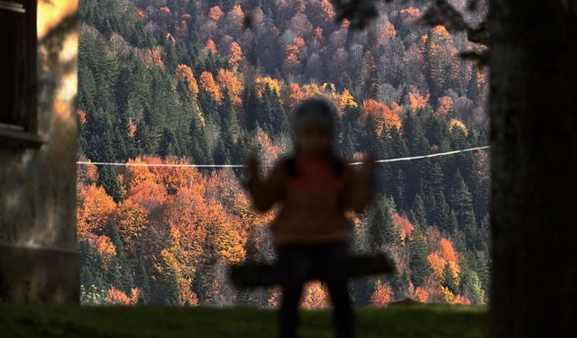 Düzce'nin Odayeri Yaylası ve Torkul Göleti, ziyaretçilerini sonbaharın renkleriyle ağırlıyor