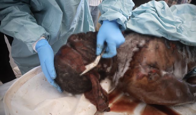 Gazze'deki Sağlık Bakanlığı: İsrail'in teslim ettiği cenazelerin baş ve göğüs bölgesinde kurşun izleri vardı