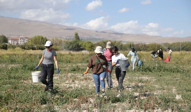 Geleceğin ziraat mühendisleri üniversitenin uygulama bahçelerinde yetişiyor