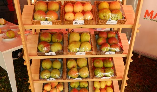 Isparta'da 'Sürdürülebilir Meyve-Bağ Fidancılığı Çalıştayı' düzenlendi