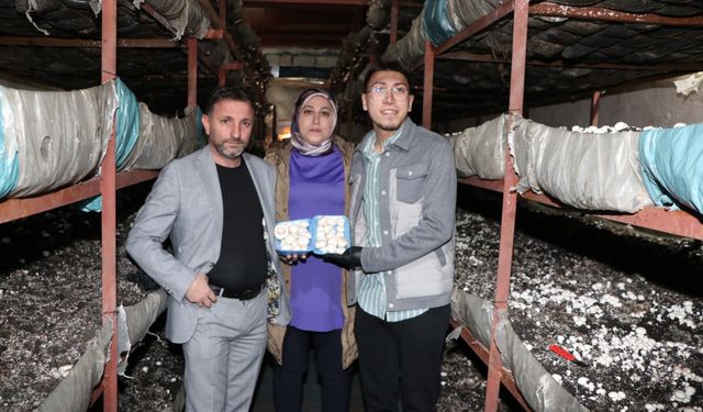 Kadın girişimci devlet desteğiyle kurduğu tesiste 75 ton mantar üretiyor