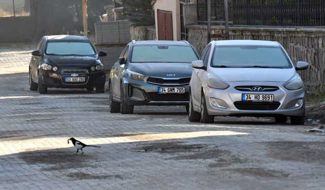 Kars'ta soğuk hava etkisini sürdürüyor