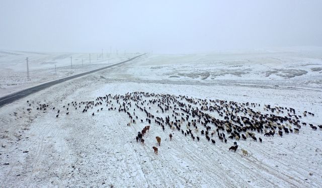 Kars'ta yayladan dönen göçerler kar yağışına yakalandı