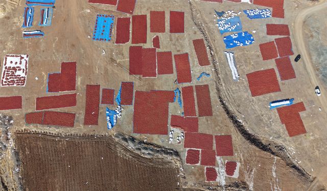 Kilis'te pul biber mesaisi