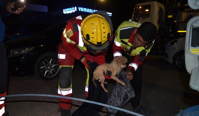 Konya'da kanalizasyon borusuna sıkışan köpek yavrusu itfaiyenin 6 saatlik çalışmasıyla kurtarıldı