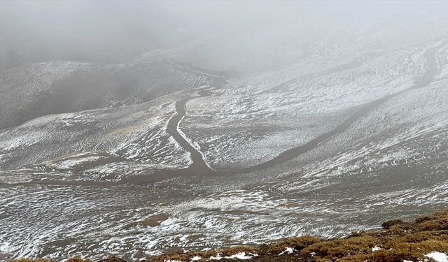 Muş'ta kar ve sis etkili oldu