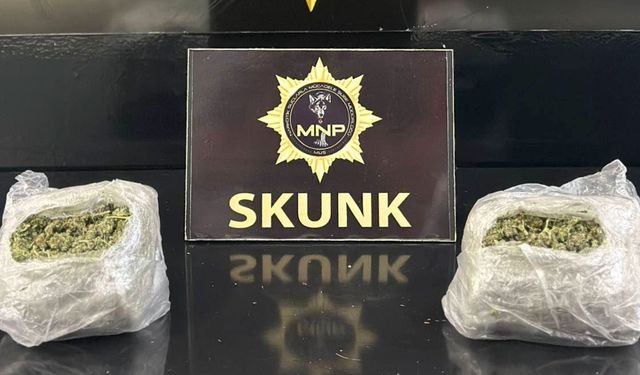 Muş'ta uyuşturucu operasyonunda 2 şüpheli tutuklandı