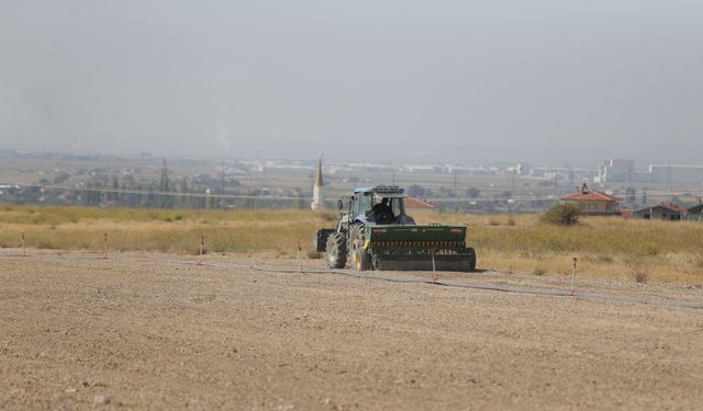 Niğde'de üniversitenin tarıma kazandırılan arazilerinde yem bitkileri yetiştiriliyor