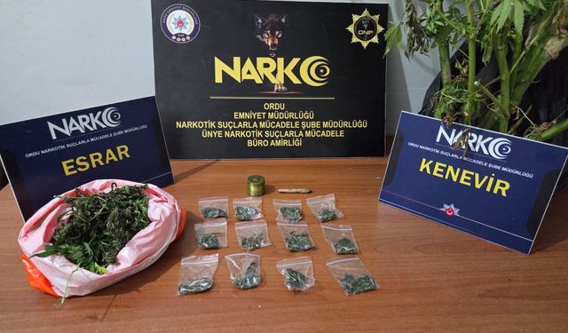 Ordu'da uyuşturucu operasyonunda gözaltına alınan 2 zanlı tutuklandı
