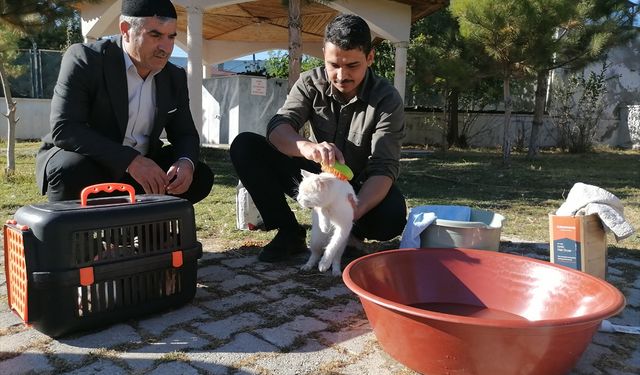 Sahip çıktığı kedileri leğende yıkayan imam hayvan sevgisiyle örnek oluyor