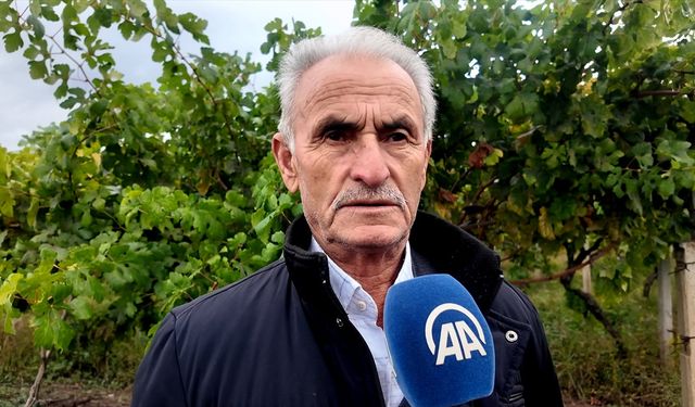 Sakarya'da üzüm üreticileri, hırsızlığa karşı jandarma ekipleriyle bahçede nöbet tutuyor