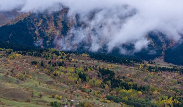 'Sakin şehir' Şavşat'ta sonbahar rengarenk