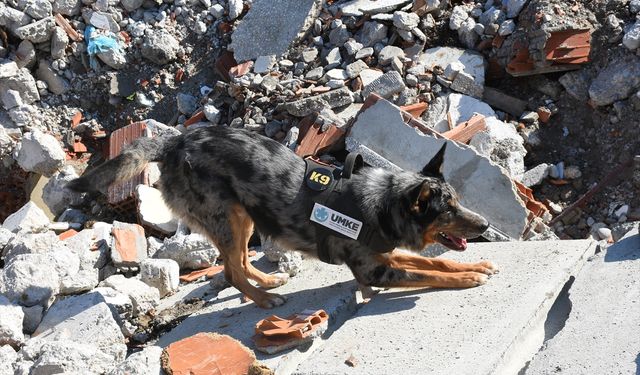 Samsun'da 6,4 büyüklüğünde deprem senaryosuyla tatbikat yapıldı