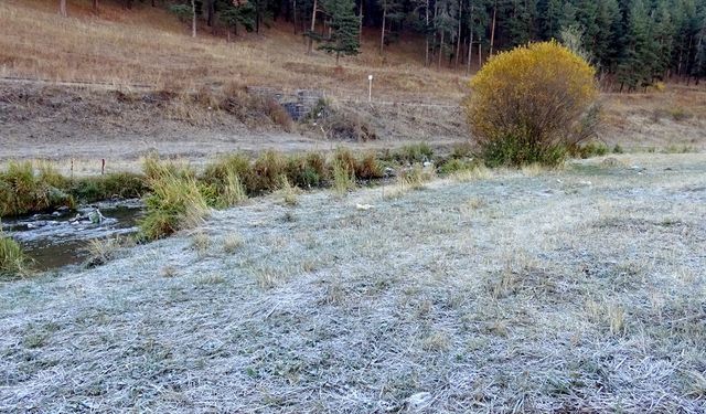 Sarıkamış'ta araç camları ve bitkiler kırağı tuttu