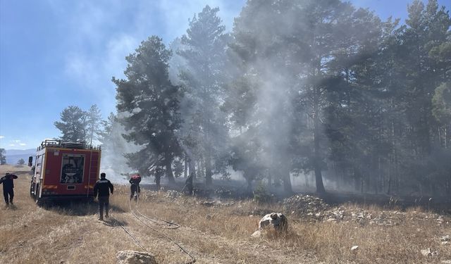 Sarıkamış'ta çıkan orman yangınında yaklaşık 1 hektar alan zarar gördü