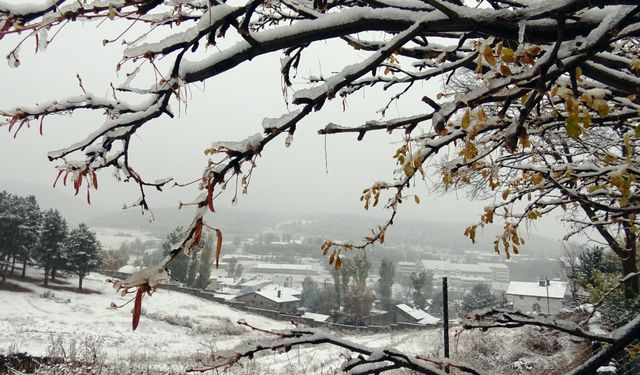 Sarıkamış'ta ilçe merkezine, Ardahan, Tunceli, Erzincan ve Ağrı'da ise yükseklere kar yağdı