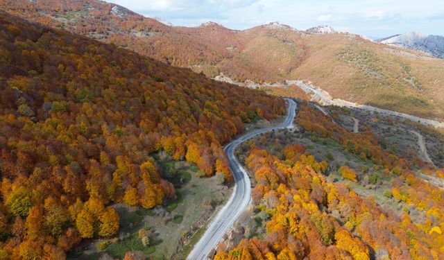 Sonbaharın renkleriyle kaplanan Şebek Geçidi dronla görüntülendi