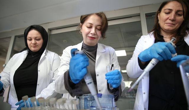 Akademisyenler Karadeniz'de bazı balık türlerinde mikroplastikleri araştırdı