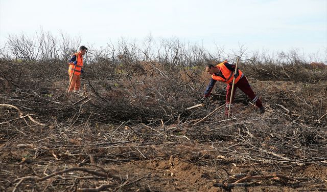 'Alev savaşçıları' bu kez fidan dikimi için sahada