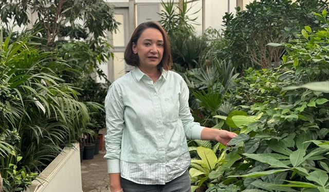 Balkon bahçeciliğine artan ilgi süs bitkisi satışlarını artırdı