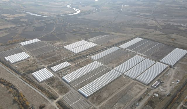 Doğu Anadolu'nun en büyük toplu sera alanı Erzincan'da kurulacak