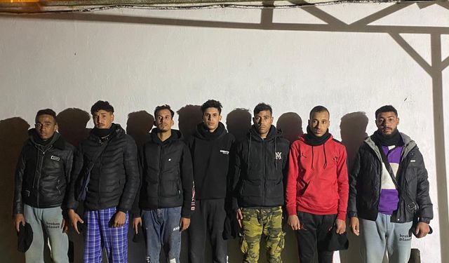 Edirne'de 9 düzensiz göçmen yakalandı