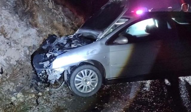Erzincan'da ayıya çarpan otomobilde 1 kişi yaralandı