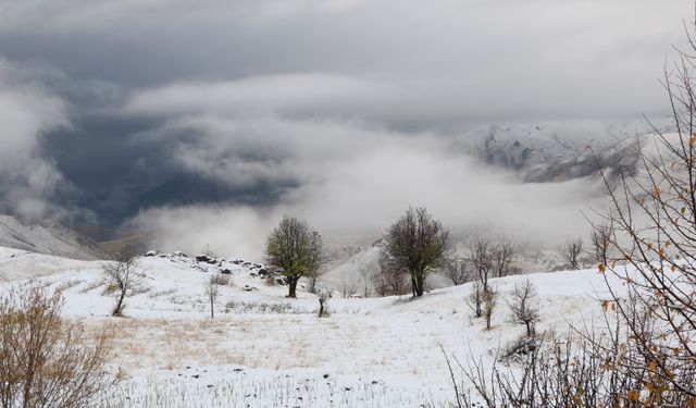 Hakkari'de yüksek kesimlere kar yağdı