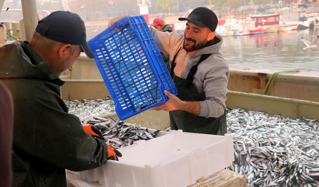 Hamsi ve sardalya bolluğu Tekirdağ'da balıkçıların yüzünü güldürdü