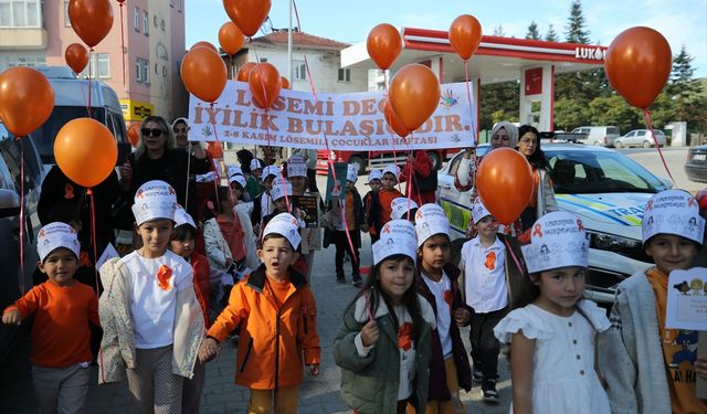 Karabük'te ana sınıfı öğrencileri lösemi hastaları için gökyüzüne balon bıraktı