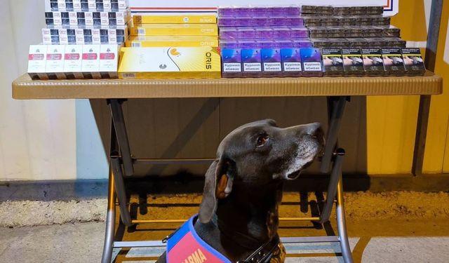 Kayseri'de 750 paket bandrolsüz kaçak sigara ele geçirildi