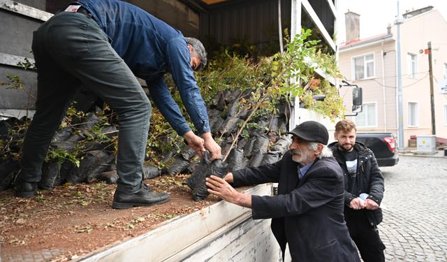 Konya'da çiftçiler kuraklığa karşı sumak üretimine özendiriliyor