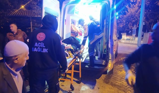 Mardin'de devrilen pikaptaki 2'si çocuk 6 kişi yaralandı