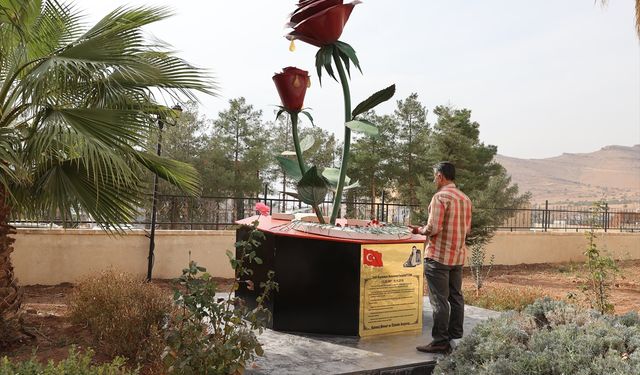 Şehit Kaymakam Safitürk görev yaptığı Mardin'in Derik ilçesinde anıldı