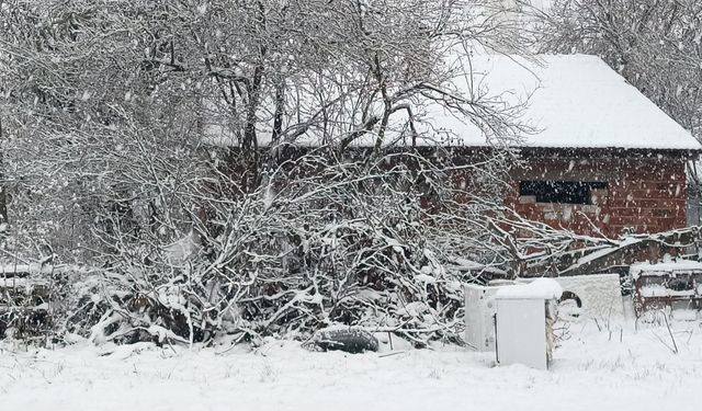 Bilecik'in Pazaryeri ilçesinde taşımalı eğitime 1 gün ara verildi