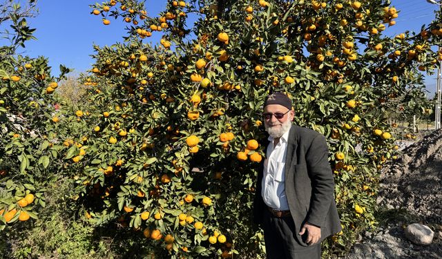 'Elmacı Dede' Hatay'dan aldığı mandalinaları Mehmetçiğe ulaştıracak