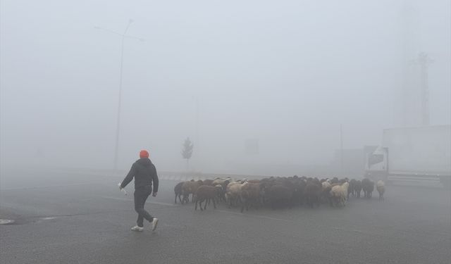 Iğdır'da yoğun sis etkili oluyor