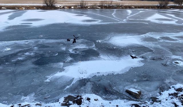 Kars ve Ardahan'da soğuk hava etkili oluyor