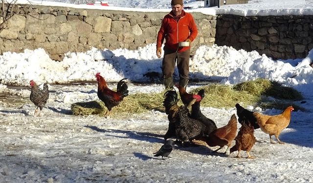 Kars'ta besiciler sıfırın altında 10 derecede zorlu mesai yapıyor