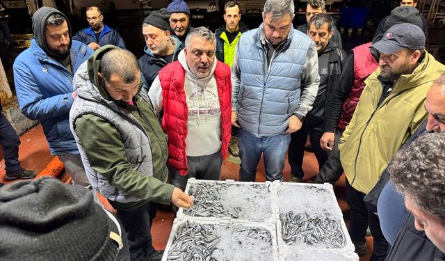 Kocaeli'de balık mezatlarında en yoğun rekabet hamside yaşandı
