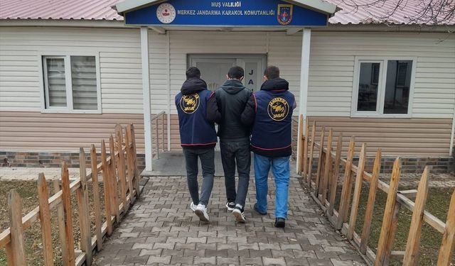 Muş'ta 'dolandırıcılık' suçundan aranan hükümlü yakalandı