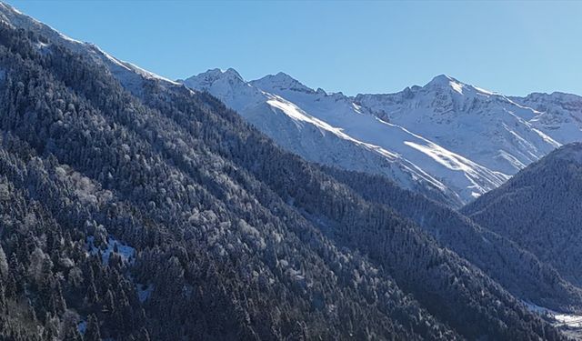 Rize ve Artvin'in yüksek kesimlerinde kar etkili oldu