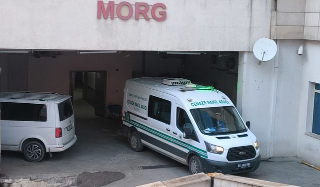 Siirt'te bir kadın evinde bıçaklanarak öldürüldü