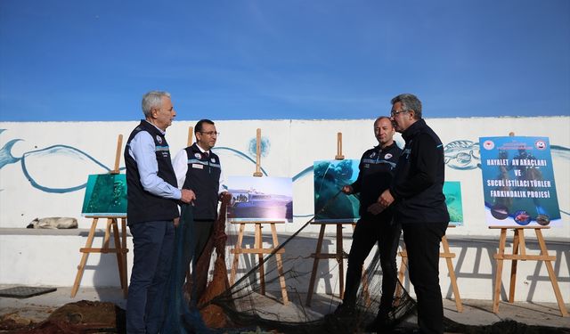 Türkiye'de 11 yılda denizden 2,9 milyon metrekare hayalet ağ çıkarıldı