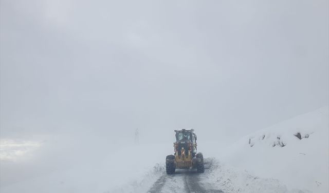 Van ve Hakkari'de ulaşımın sağlanamadığı 172 yerleşim yerinden 158'inin yolu açıldı