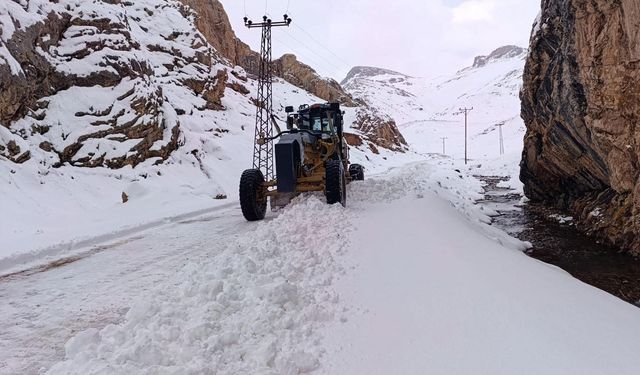 Van'da kırsalda karla mücadele sürüyor