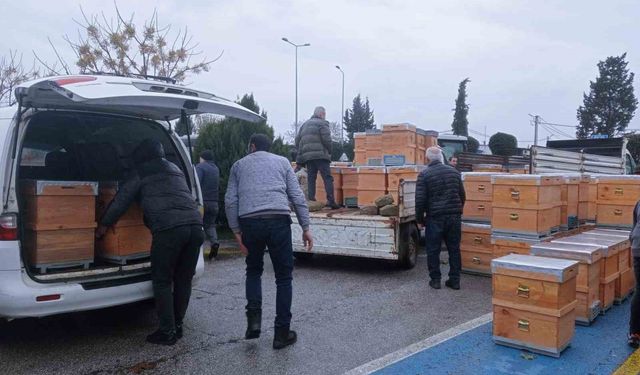 Babaeski'de üreticilere arı kovanı dağıtıldı