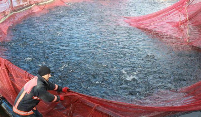 Bozkırın ortasında yetişti, Rusya ve Japonya yolcusu oldu